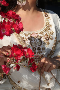 Ruhi Sharara Suit
