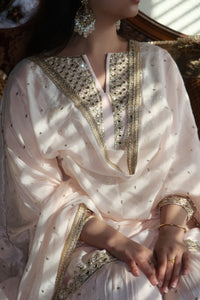 Gulab Gharara Suit