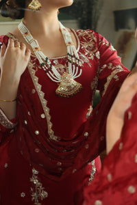 Asees Sharara Suit